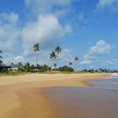Afro Beach Eco Resort Butre Екстериор снимка