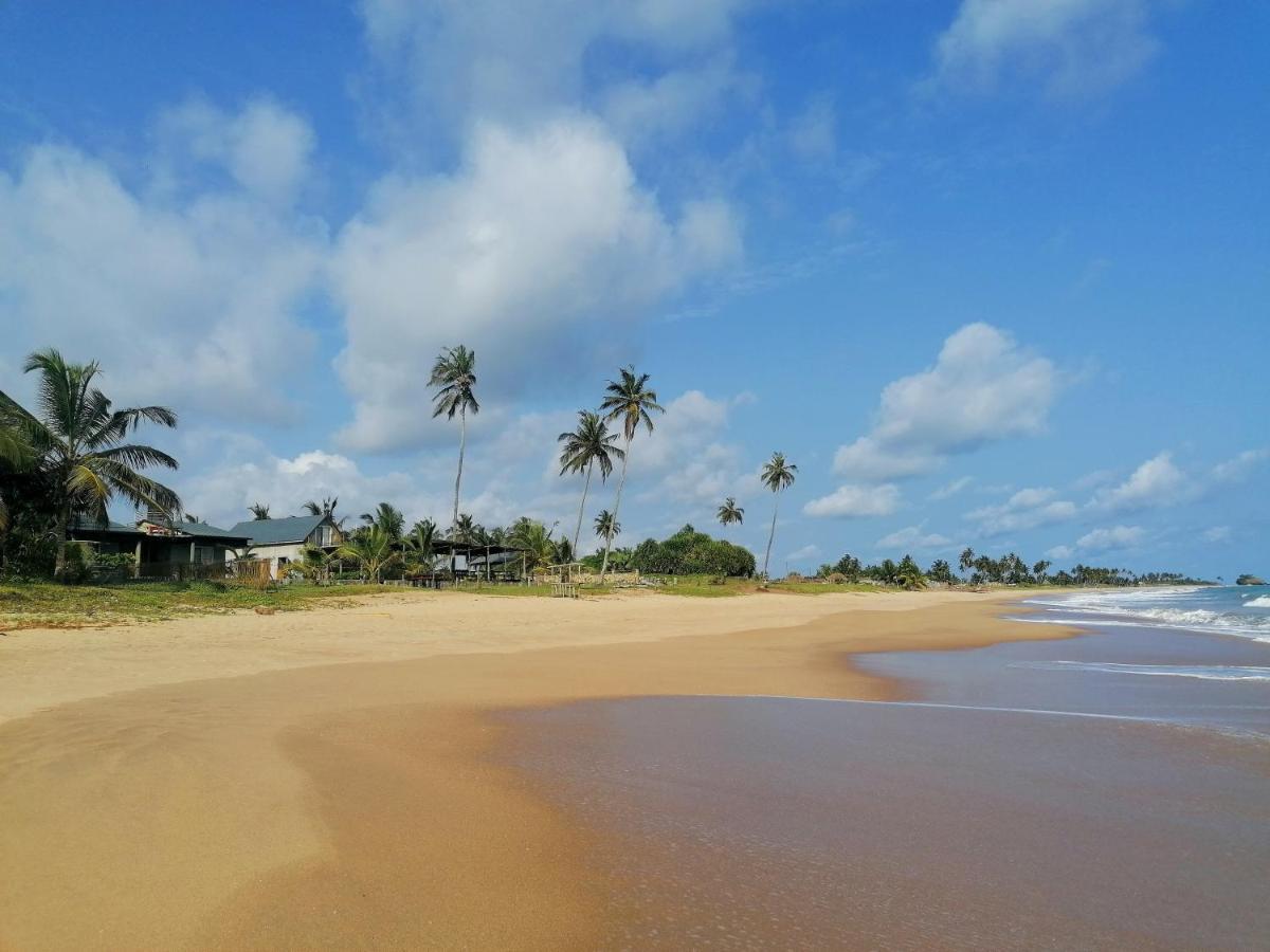 Afro Beach Eco Resort Butre Екстериор снимка