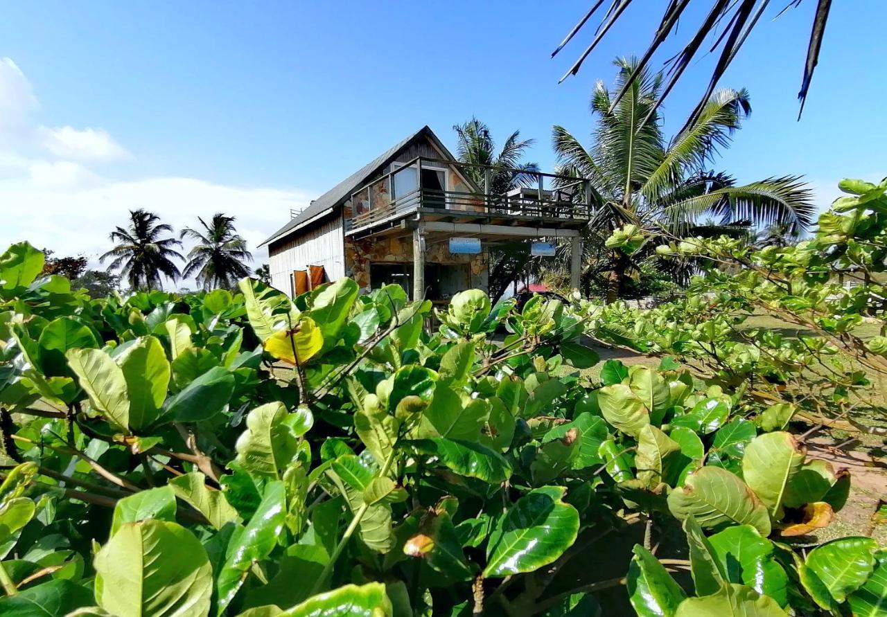 Afro Beach Eco Resort Butre Екстериор снимка