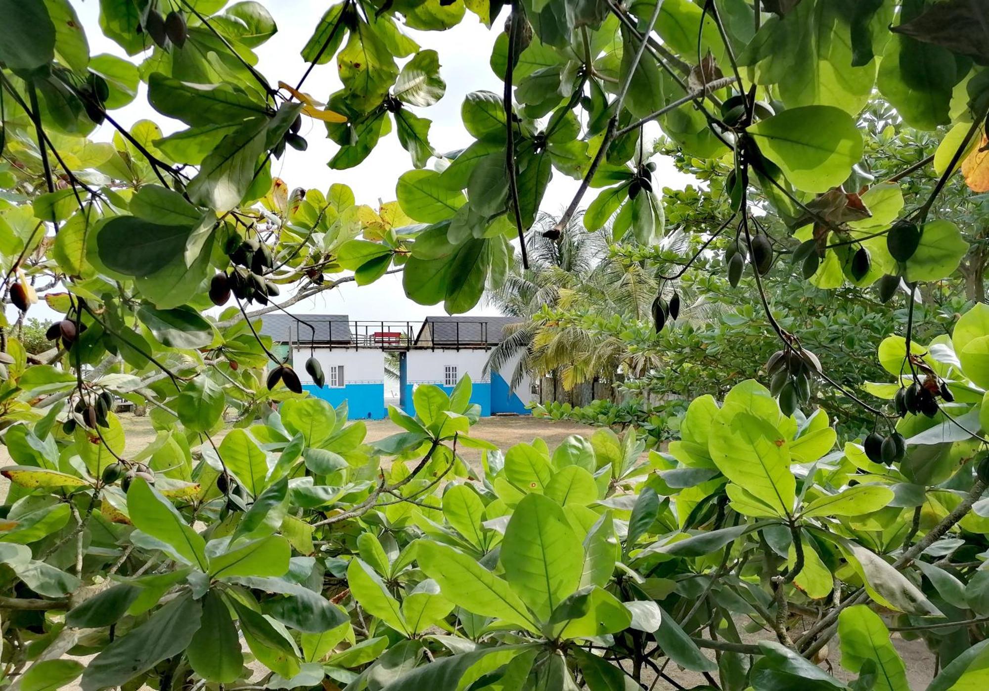 Afro Beach Eco Resort Butre Стая снимка