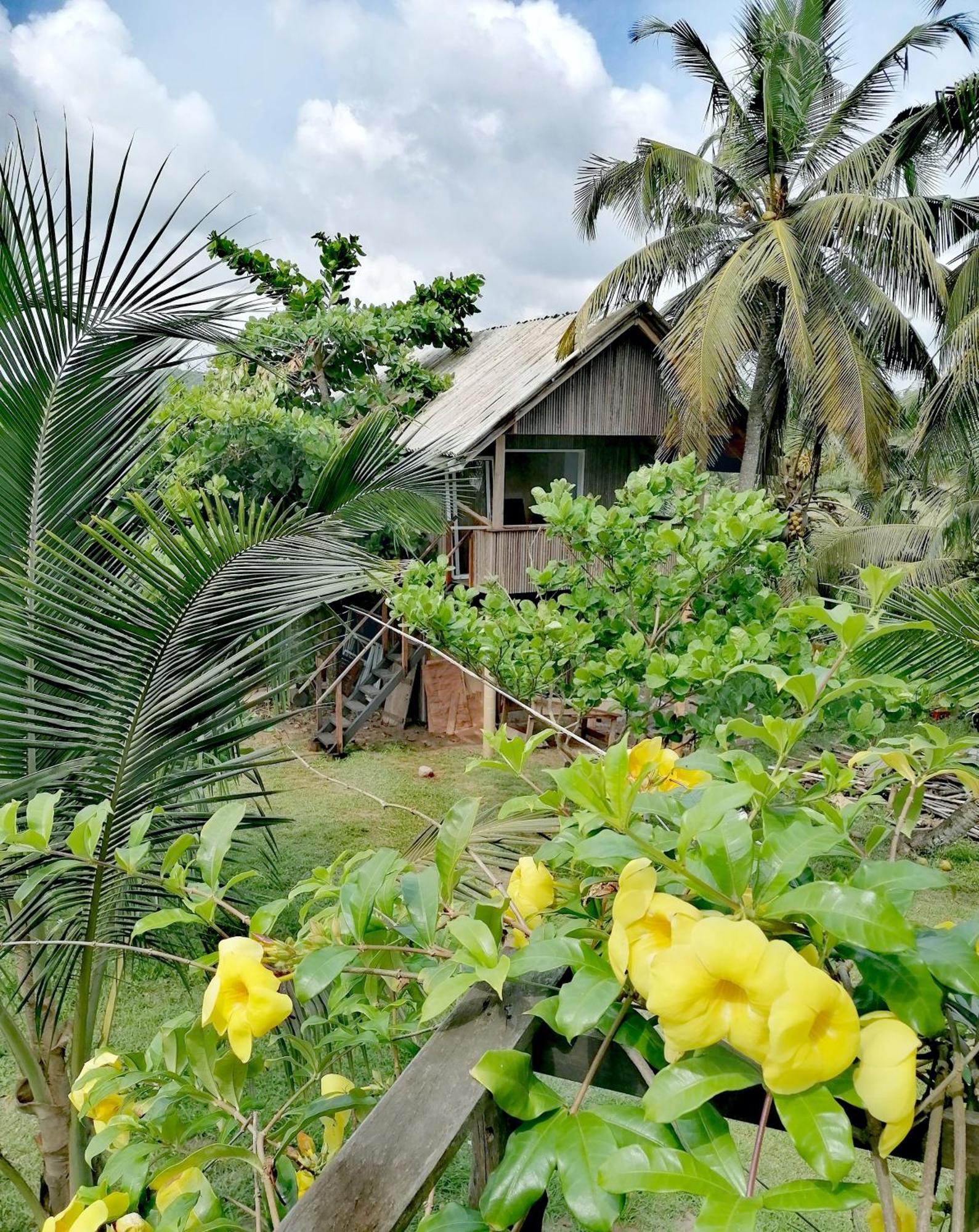 Afro Beach Eco Resort Butre Стая снимка