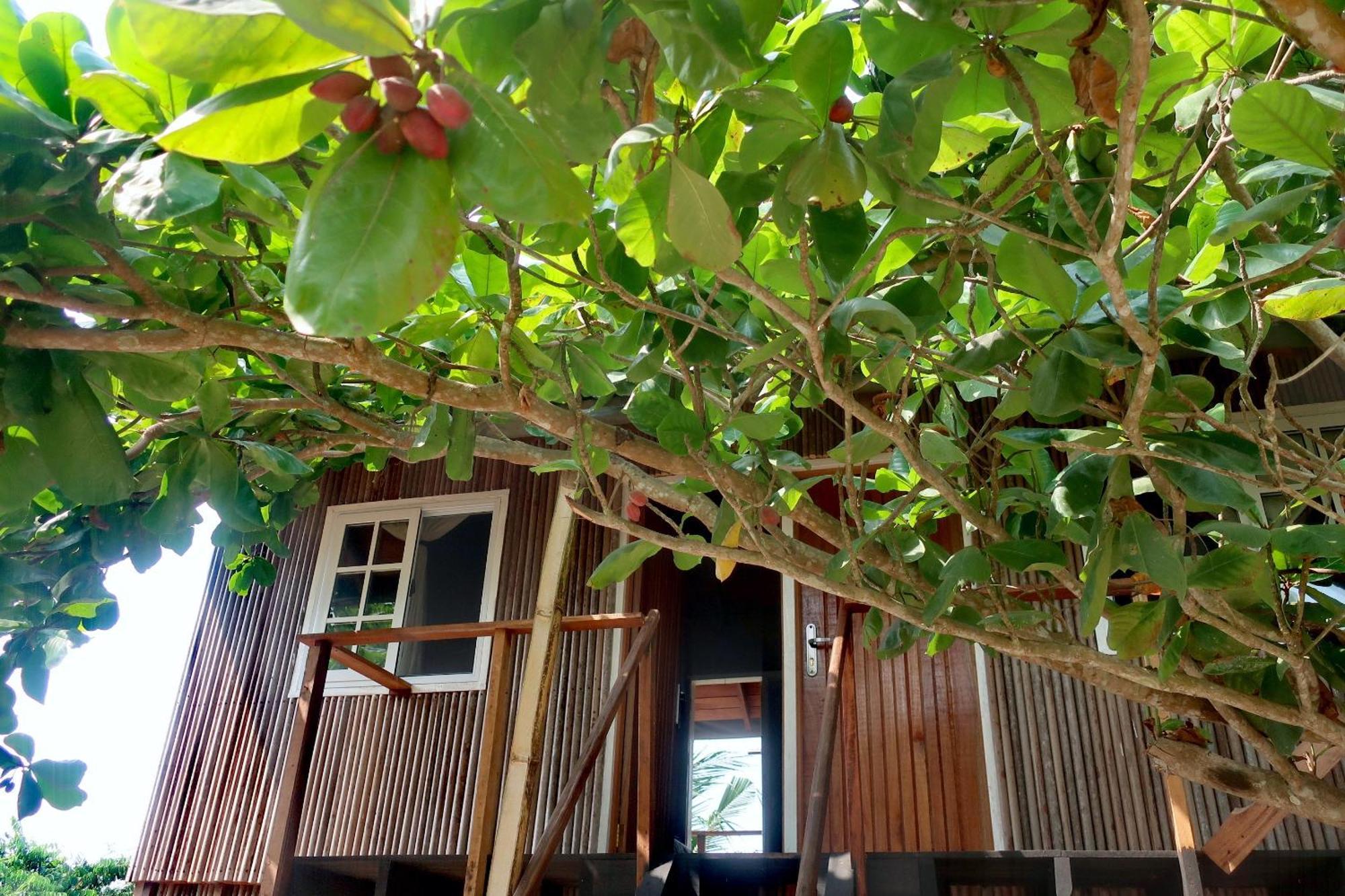 Afro Beach Eco Resort Butre Стая снимка