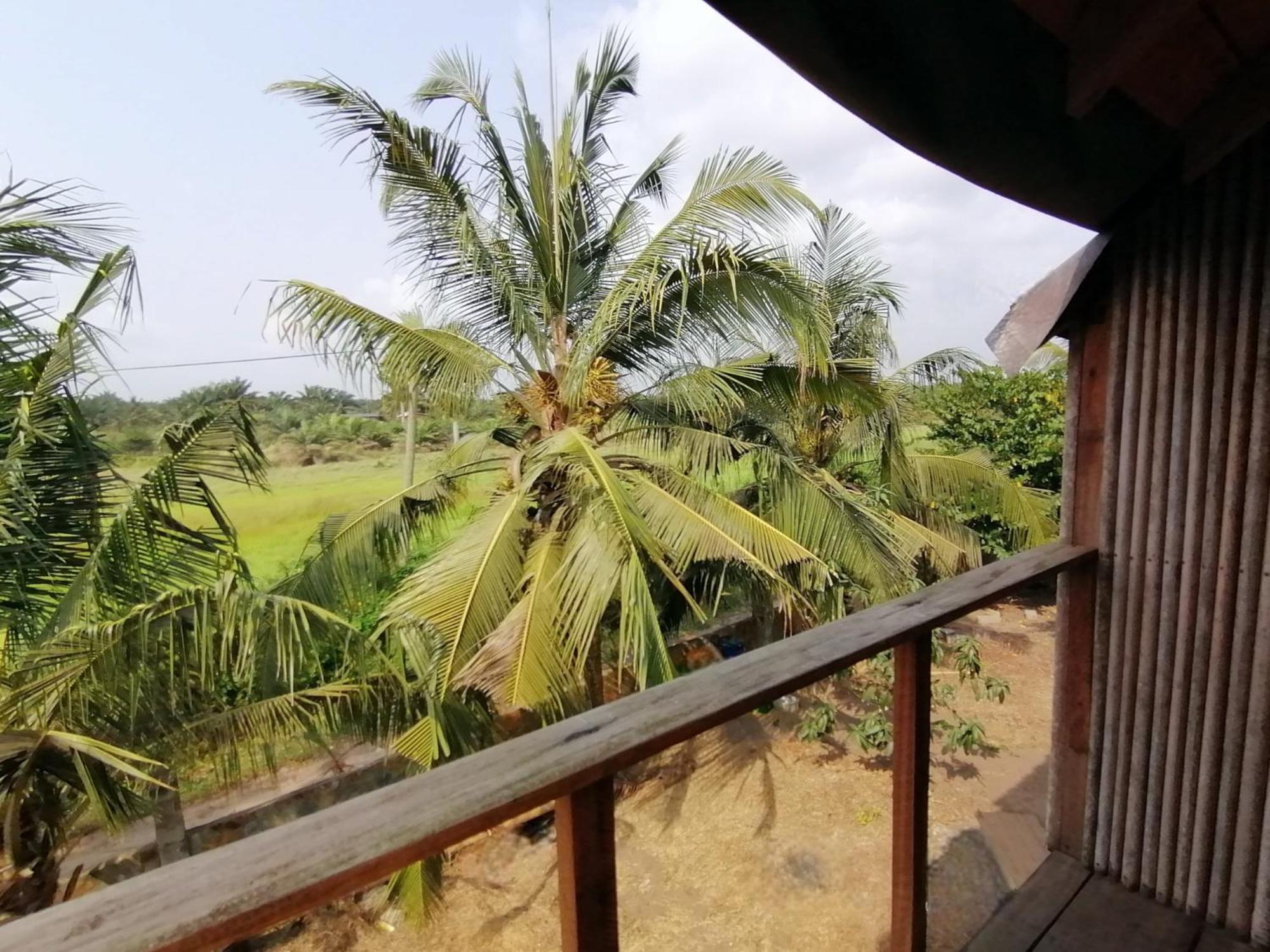 Afro Beach Eco Resort Butre Стая снимка